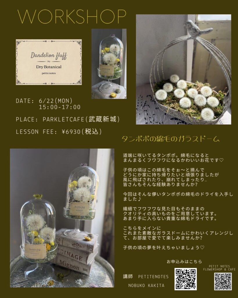 タンポポの綿毛